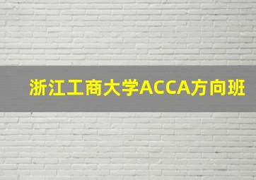 浙江工商大学ACCA方向班