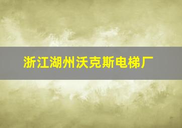 浙江湖州沃克斯电梯厂