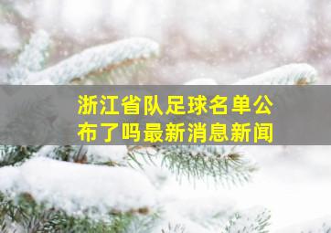 浙江省队足球名单公布了吗最新消息新闻