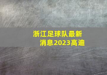 浙江足球队最新消息2023高迪