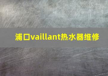 浦口vaillant热水器维修