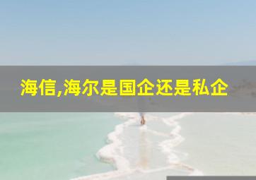 海信,海尔是国企还是私企