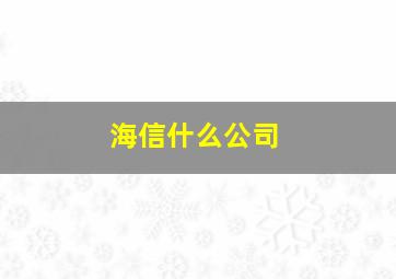 海信什么公司