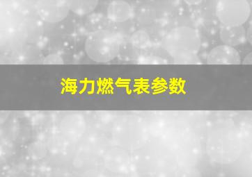 海力燃气表参数