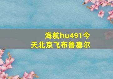 海航hu491今天北京飞布鲁塞尔