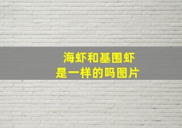 海虾和基围虾是一样的吗图片