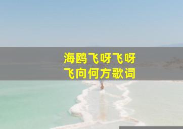 海鸥飞呀飞呀飞向何方歌词