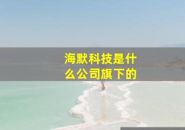 海默科技是什么公司旗下的