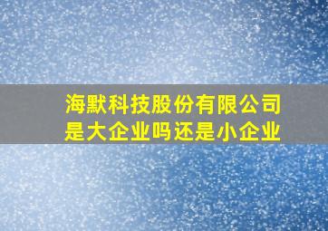 海默科技股份有限公司是大企业吗还是小企业