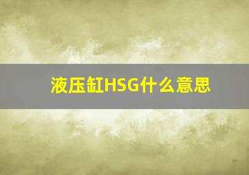 液压缸HSG什么意思