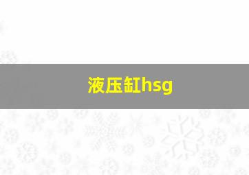 液压缸hsg