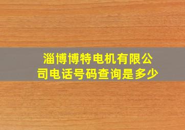 淄博博特电机有限公司电话号码查询是多少