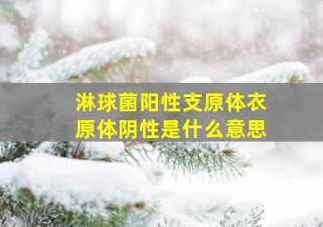 淋球菌阳性支原体衣原体阴性是什么意思