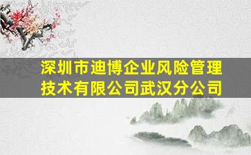 深圳市迪博企业风险管理技术有限公司武汉分公司