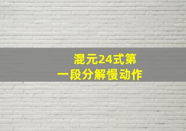 混元24式第一段分解慢动作