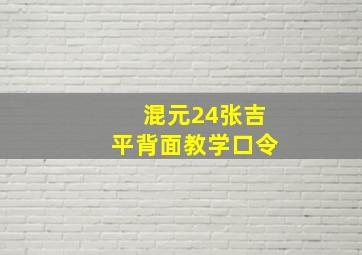 混元24张吉平背面教学口令