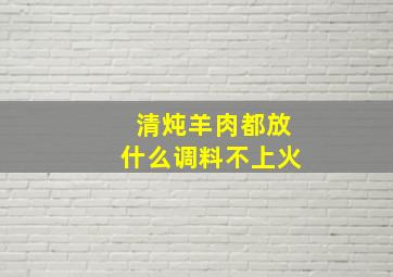 清炖羊肉都放什么调料不上火