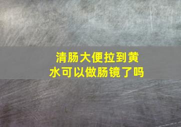 清肠大便拉到黄水可以做肠镜了吗