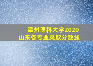 温州医科大学2020山东各专业录取分数线