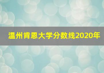 温州肯恩大学分数线2020年