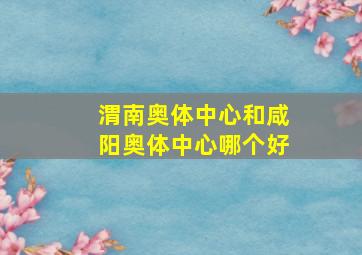 渭南奥体中心和咸阳奥体中心哪个好