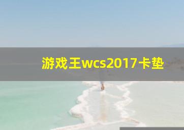 游戏王wcs2017卡垫