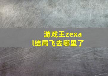 游戏王zexal结局飞去哪里了