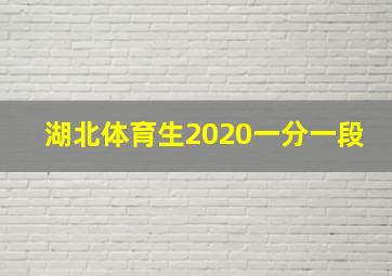 湖北体育生2020一分一段