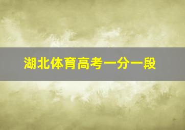 湖北体育高考一分一段