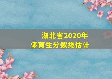 湖北省2020年体育生分数线估计