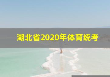 湖北省2020年体育统考