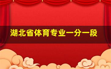 湖北省体育专业一分一段