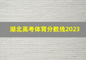 湖北高考体育分数线2023