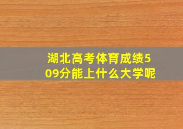 湖北高考体育成绩509分能上什么大学呢