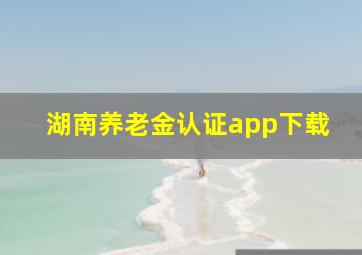 湖南养老金认证app下载