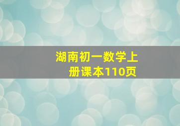 湖南初一数学上册课本110页