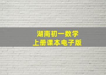 湖南初一数学上册课本电子版