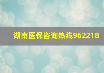 湖南医保咨询热线962218