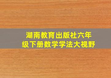 湖南教育出版社六年级下册数学学法大视野