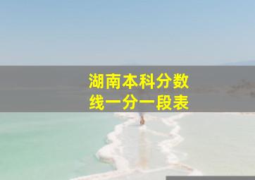 湖南本科分数线一分一段表