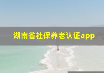 湖南省社保养老认证app