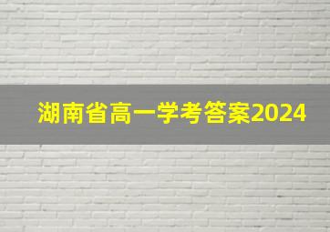 湖南省高一学考答案2024