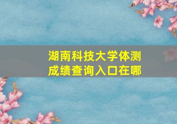 湖南科技大学体测成绩查询入口在哪