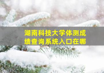 湖南科技大学体测成绩查询系统入口在哪