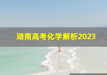 湖南高考化学解析2023