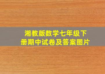 湘教版数学七年级下册期中试卷及答案图片