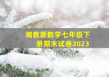 湘教版数学七年级下册期末试卷2023