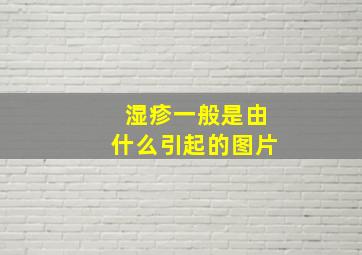 湿疹一般是由什么引起的图片