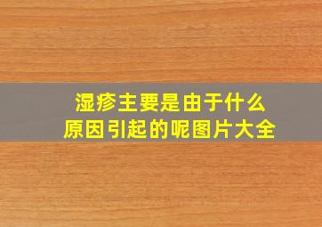 湿疹主要是由于什么原因引起的呢图片大全