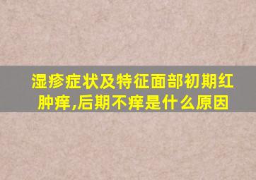 湿疹症状及特征面部初期红肿痒,后期不痒是什么原因